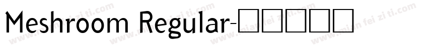 Meshroom Regular字体转换